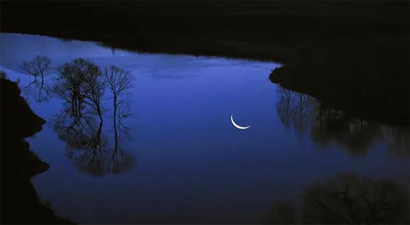 Ӱ֮£ΩҶ